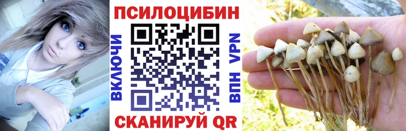 Псилоцибиновые грибы Psilocybine cubensis  Купить закладки  Электрогорск 