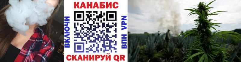 Купить  Электрогорск  Конопля SATIVA & INDICA 